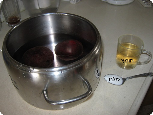 פלחי סלק 002a