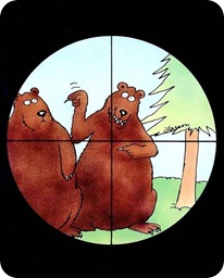bears